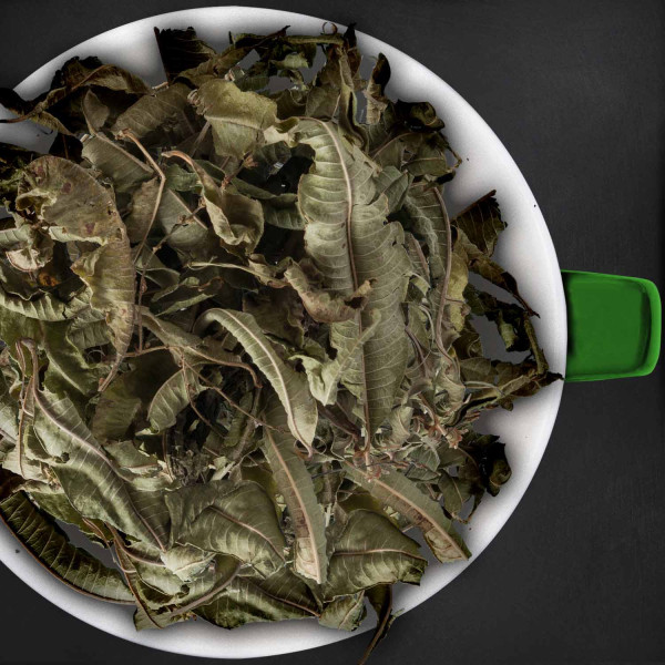 Verbene (Eisenkraut) Tee, Kräutertee