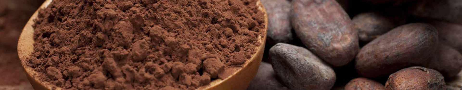 BIO Kakao ♥ Fair Trade Trinkschokolade